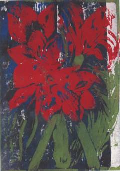 Heidi_Nübling