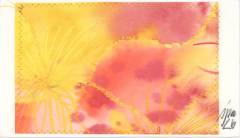 Stephan_J._Mitterwieser